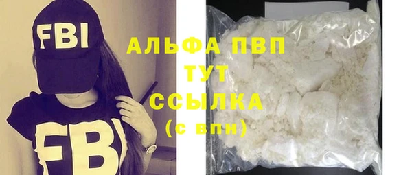 индика Алексин