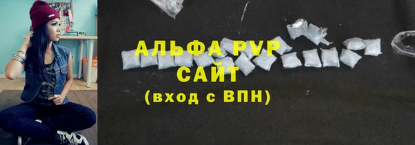 индика Алексин