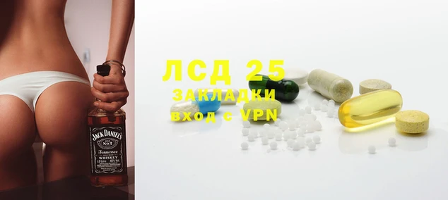 эйфоретик Алзамай