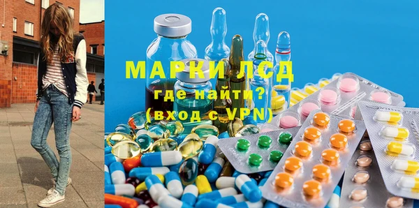 индика Алексин