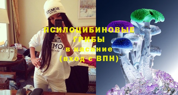 эйфоретик Алзамай