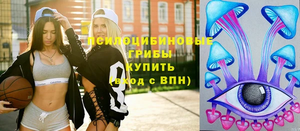 эйфоретик Алзамай