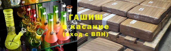 индика Алексин