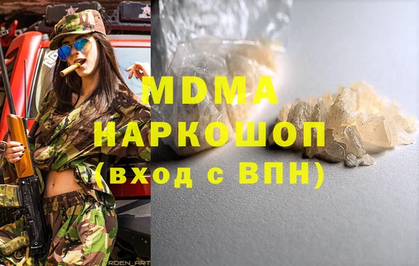 индика Алексин